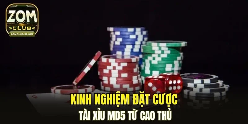 Kinh nghiệm đặt cược tài xỉu MD5 từ cao thủ