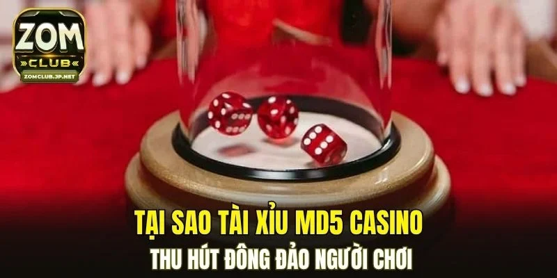 Tại sao tài xỉu MD5 casino thu hút đông đảo người chơi